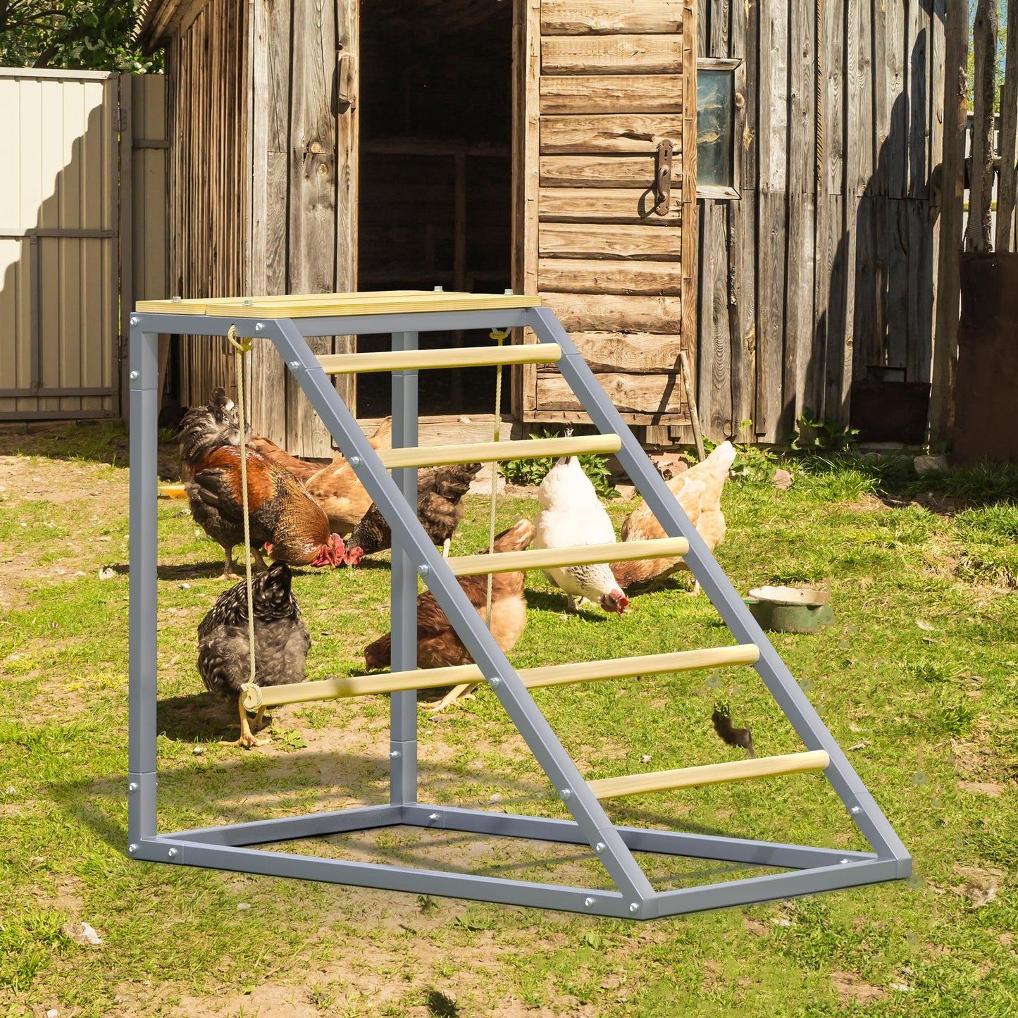 Chicken Coop Roosting Perch Essentials：Perfect for Backyard Poultry, Easy Installation &,Farm Roost Toys for Chickens (55' L x 40' W)