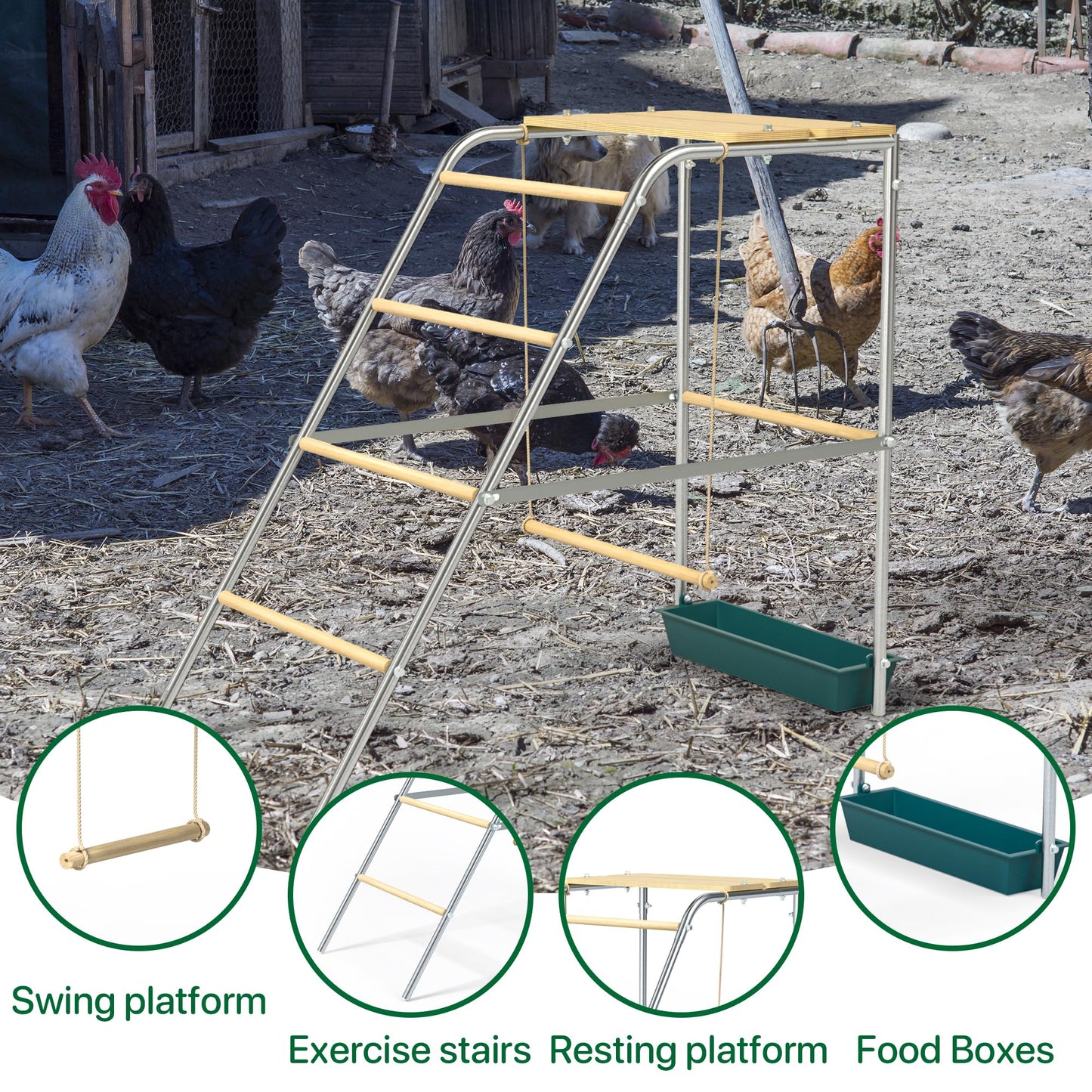 Chicken Coop Roosting Perch Essentials：Perfect for Backyard Poultry, Easy Installation &,Farm Roost Toys for Chickens (55' L x 40' W)