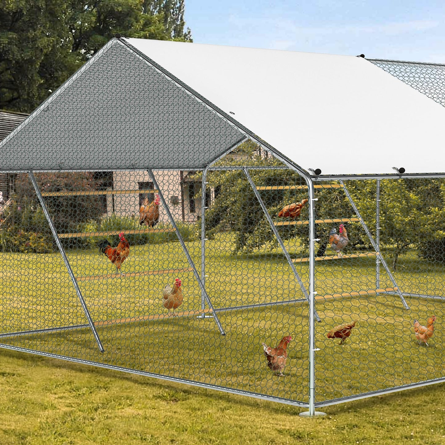 Chicken Coop Roosting Perch Essentials：Perfect for Backyard Poultry, Easy Installation &,Farm Roost Toys for Chickens (55' L x 40' W)