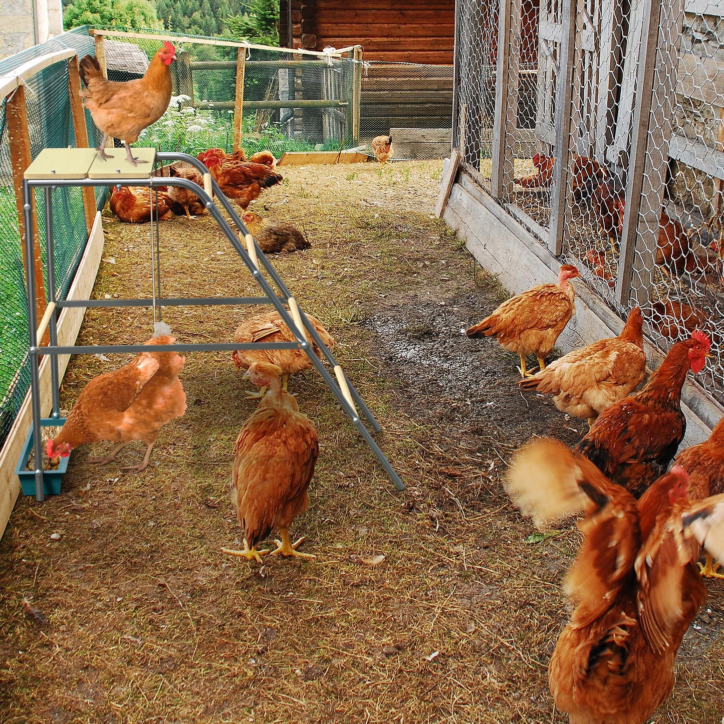 Chicken Coop Roosting Perch Essentials：Perfect for Backyard Poultry, Easy Installation &,Farm Roost Toys for Chickens (55' L x 40' W)