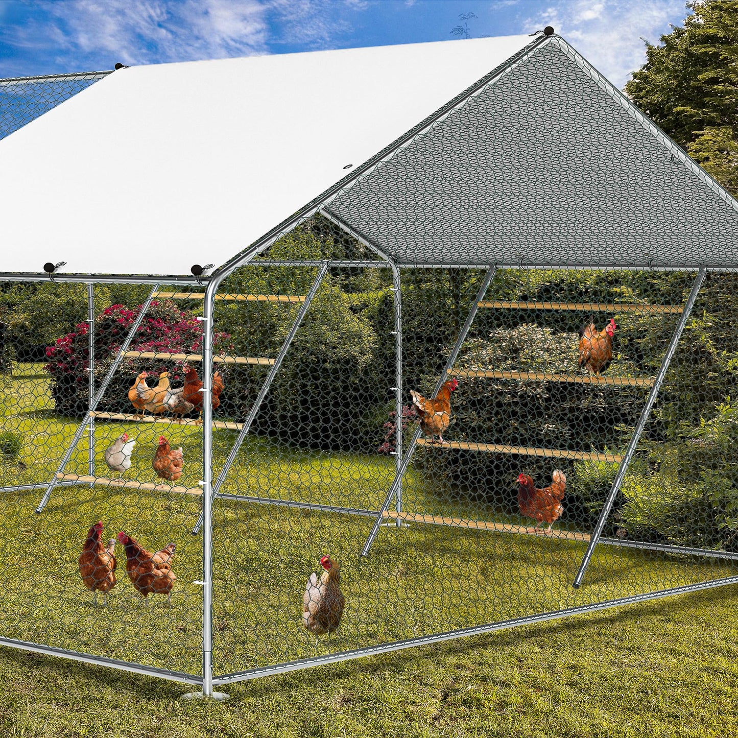 Chicken Coop Roosting Perch Essentials：Perfect for Backyard Poultry, Easy Installation &,Farm Roost Toys for Chickens (55' L x 40' W)