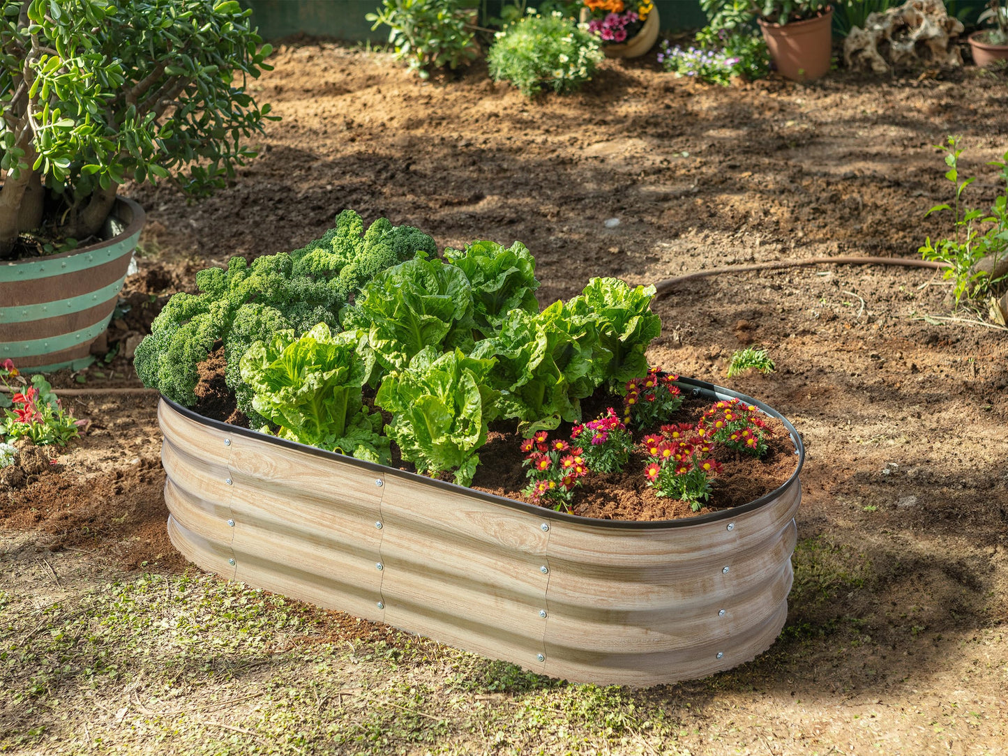 Galvanized Raised Garden Beds Outdoor // 4×2×1 ft Planter Raised Beds for Gardening, Vegetables, Flowers // Large Metal Garden Box (Silver)